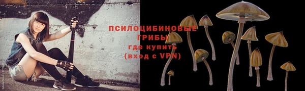 молекула духа Абинск