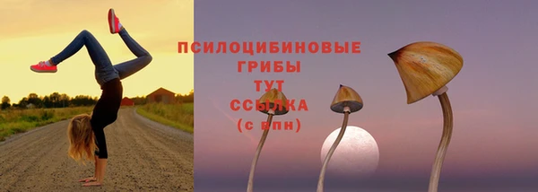 гашик Абаза