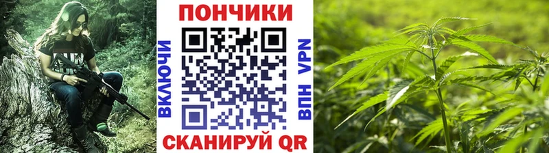 Шишки марихуана Amnesia  наркошоп  Каргополь 